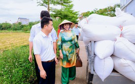 Ngày hội Lúa JAPONICA hữu cơ năm 2026: Tôn vinh giá trị lúa hữu cơ Đồng Phú