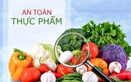 Bảo đảm an toàn thực phẩm, phòng ngừa ngộ độc thực phẩm trong dịch vụ ăn uống và thức ăn đường phố