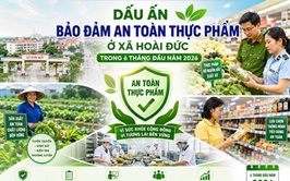 Dấu ấn bảo đảm an toàn thực phẩm ở xã Hoài Đức trong 6 tháng đầu năm 2026
