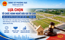 Thông báo kết quả lựa chọn tổ chức hành nghề đấu giá tài sản đối với 15 thửa đất khu Cánh Chăn nuôi