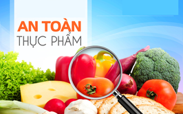 Bảo đảm an toàn thực phẩm, phòng ngừa ngộ độc thực phẩm trong dịch vụ ăn uống và thức ăn đường phố
