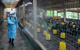 ĐỒNG LOẠT TRIỂN KHAI PHUN THUỐC SÁT TRÙNG, TIÊU ĐỘC MÔI TRƯỜNG TRÊN ĐỊA BÀN XÃ THANH OAI