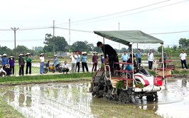 ĐẨY MẠNH CƠ GIỚI HÓA SẢN XUẤT LÚA, HƯỚNG TỚI NHỮNG CÁNH ĐỒNG MẪU LỚN