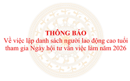 Thông báo về việc lập danh sách người lao động cao tuổi tham gia Ngày hội tư vấn việc làm năm 2026
