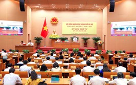 Nhiều chính sách đặc thù thúc đẩy chuyển đổi số và phát triển công nghệ số