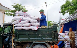 Cấp phát phân bón triển khai mô hình ứng dụng SRI kết hợp cấy máy vụ Mùa 2026.