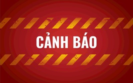 Cảnh báo thu hồi sản phẩm sữa Allernova AR