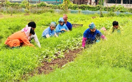 Hiện thực hóa khát vọng trở thành đô thị xanh
