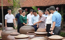 PHÓ CHỦ TỊCH UBND THÀNH PHỐ HÀ NỘI KHẢO SÁT CÔNG TÁC QUẢN LÝ, BẢO TỒN, TÔN TẠO VÀ PHÁT HUY GIÁ TRỊ DI TÍCH LÀNG CỔ Ở ĐƯỜNG LÂM