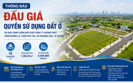 Công khai đấu giá 15 thửa đất tại thôn Đường La, Phú Túc, xã Phượng Dực