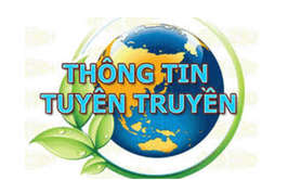 Tham gia cuộc thi trực tuyến 