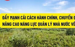 Phường Long Biên đẩy mạnh chuyển đổi số trong công tác quản lý đất đai và trật tự xây dựng
