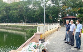 Tổng lực 