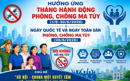 CUỘC THI TRỰC TUYẾN 