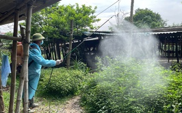 Quang Minh chủ động bảo vệ đàn vật nuôi bằng giải pháp vệ sinh, khử trùng, tiêu độc và phun diệt ruồi năm 2026