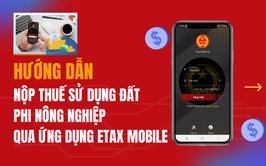 Xã Gia Lâm đẩy mạnh nộp thuế sử dụng đất phi nông nghiệp bằng hình thức điện tử