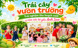 Trải nghiệm thu hoạch mùa xoài chín tại trường Mầm non Ánh Sao
