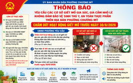 Phường Chương Mỹ yêu cầu các cơ sở giết mổ gia súc, gia cầm nhỏ lẻ không đảm bảo điều kiện chấm dứt hoạt động trước ngày 30/6/2026