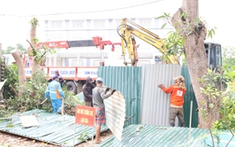 Vĩnh Thanh kiên quyết xử lý vi phạm lấn chiếm đất công tại thôn Phương Trạch