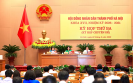 Hà Nội tăng gấp đôi tiền phạt với những vi phạm trong lĩnh vực văn hóa và quảng cáo