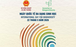 HƯỞNG ỨNG NGÀY QUỐC TẾ ĐA DẠNG SINH HỌC 22/5/2026 CHỦ ĐỀ: “HÀNH ĐỘNG CỦA ĐỊA PHƯƠNG CHO HIỆU QUẢ TOÀN CẦU”