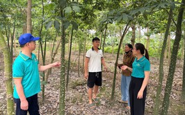 Hội Nông dân xã Gia Lâm tăng cường kiểm tra, giám sát các nguồn vốn vay hỗ trợ hội viên phát triển kinh tế