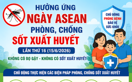 Xã Tam Hưng tích cực hưởng ứng Ngày ASEAN phòng, chống sốt xuất huyết lần thứ 16 năm 2026