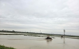 Hướng dẫn Kỹ thuật sản xuất vụ Mùa năm 2026