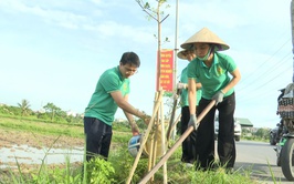 THƯ LÂM RA QUÂN TRỒNG 360 CÂY BÀNG ĐÀI LOAN XÂY DỰNG TUYẾN ĐƯỜNG XANH