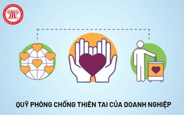 UBND phường Đống Đa thông báo về việc nộp Quỹ phòng, chống thiên tai năm 2026 đối với tổ chức kinh tế trong nước và nước ngoài trên địa bàn phường
