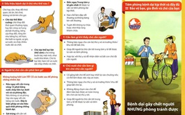 Chủ động phòng, chống bệnh dại – không chủ quan khi bị chó mèo cắn, cào hoặc liếm vào vùng da bị tổn thương