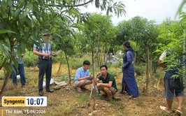 Xã Suối Hai chủ động phòng bênh trên cây đào, mai