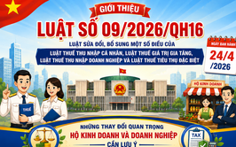 Luật số 09/2026/QH16 của Quốc hội: Luật sửa đổi, bổ sung một số điều của Luật Thuế thu nhập cá nhân, Luật Thuế giá trị gia tăng, Luật Thuế thu nhập doanh nghiệp và Luật Thuế tiêu thụ đặc biệt