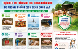 Tăng cường an toàn sinh học trong chăn nuôi – Chủ động phòng, chống dịch bệnh động vật