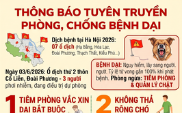 THÔNG BÁO TUYÊN TRUYỀN PHÒNG, CHỐNG BỆNH DẠI