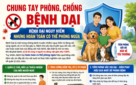 Bệnh Dại nguy hiểm nhưng hoàn toàn có thể phòng ngừa.