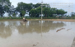 Tây Phương khẩn trương chuẩn bị sản xuất vụ Mùa năm 2026