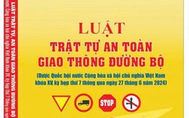 Luật trật tự an toàn giao thông đường bộ