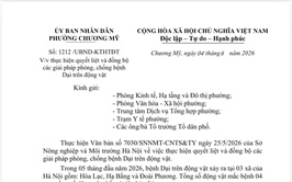 Phường Chương Mỹ tăng cường triển khai các giải pháp phòng, chống bệnh Dại trên động vật