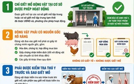 Thông điệp tuyên truyền về chấm dứt hoạt động giết mổ nhỏ lẻ, trái phép trên địa bàn thành phố Hà Nội