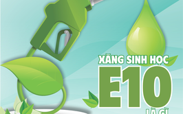 Sử dụng xăng sinh học E10 vì môi trường xanh và phát triển bền vững