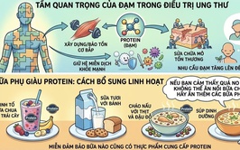 Bệnh viện Ung Bướu Hà Nội khuyến cáo những lưu ý cơ bản cho khẩu phần ăn của người bệnh ung thư