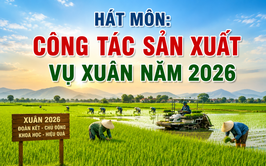 Hát Môn: Công tác sản xuất vụ Xuân năm 2026