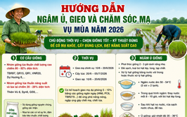 Hướng dẫn ngâm ủ, gieo và chăm sóc mạ vụ Mùa năm 2026