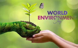 Ngày Môi trường thế giới năm 2026: 