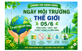 Chào mừng ngày môi trường thế giới 05/6: Chung tay hành động vì một tương lai xanh