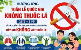 Tổ chức hoạt động hưởng ứng Ngày Thế giới không thuốc lá 31/5, Tuần lễ Quốc gia không thuốc lá 25-31/5/2026 và tăng cường thực thi Luật Phòng, chống
tác hại của thuốc lá