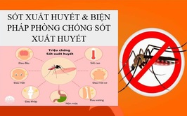 SỐT XUẤT HUYẾT VÀ BIỆN PHÁP PHÒNG CHỐNG SỐT XUẤT HUYẾT