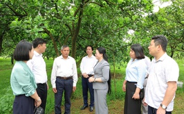 Hội Nông dân xã Phú Nghĩa phát động thi đua chào mừng Đại hội đại biểu toàn quốc Hội Nông dân Việt Nam lần thứ IX