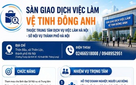 Giới thiệu sàn giao dịch việc làm vệ tinh Đông Anh